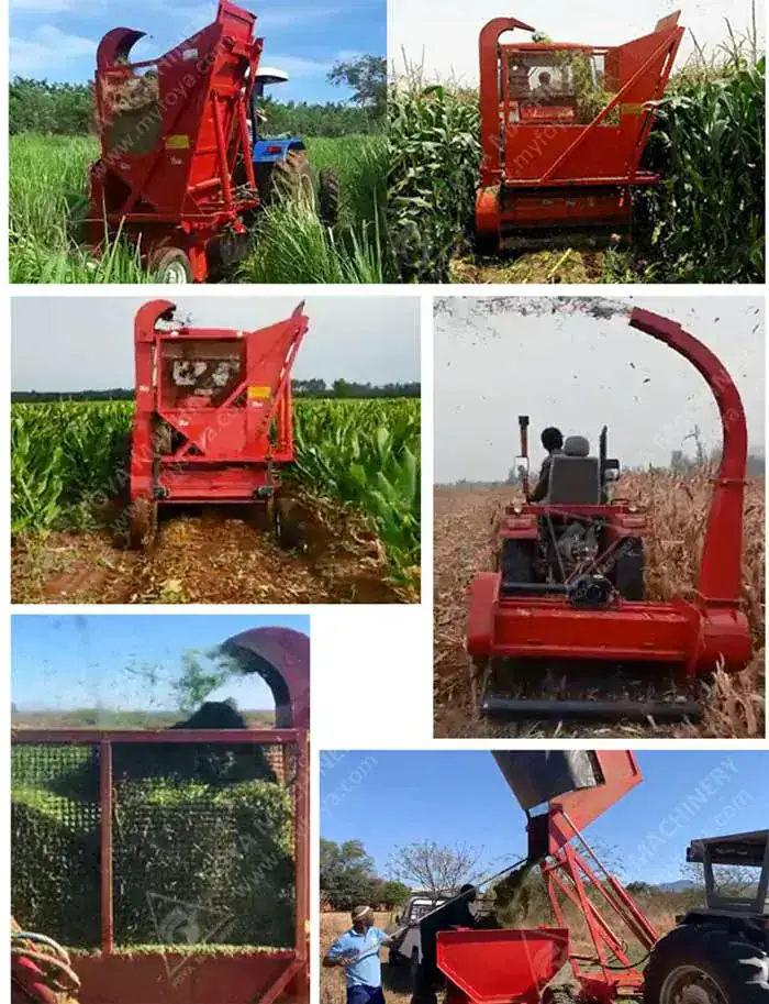 FOYA diesel engine troubleshooting - why your farm machinery won't start