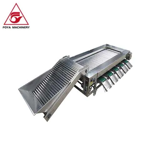 FOYA Fruit and Vegetable Grader - Automatic sorting and grading machine
