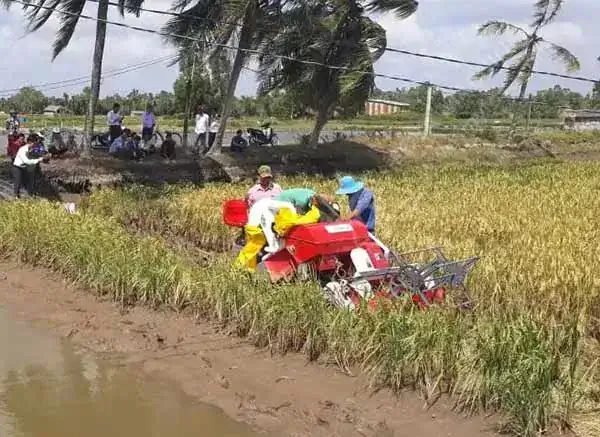 FOYA Mini Rice Wheat Combine Harvester - View Mini Rice Wheat Combine Harvester