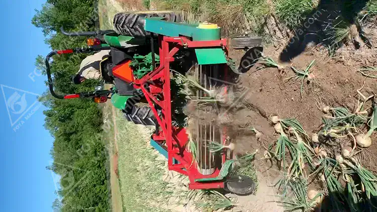 Garlic Harvester in America