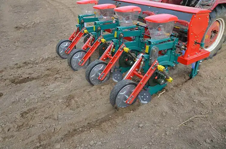 Why Does Not Corn Emerge After Sowing By Cone Planter