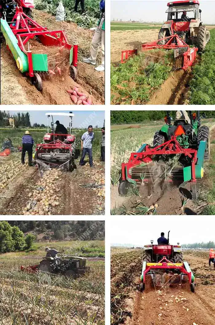 FOYA Tractor Mounted Potato Harvester - View Tractor Mounted Potato Harvester