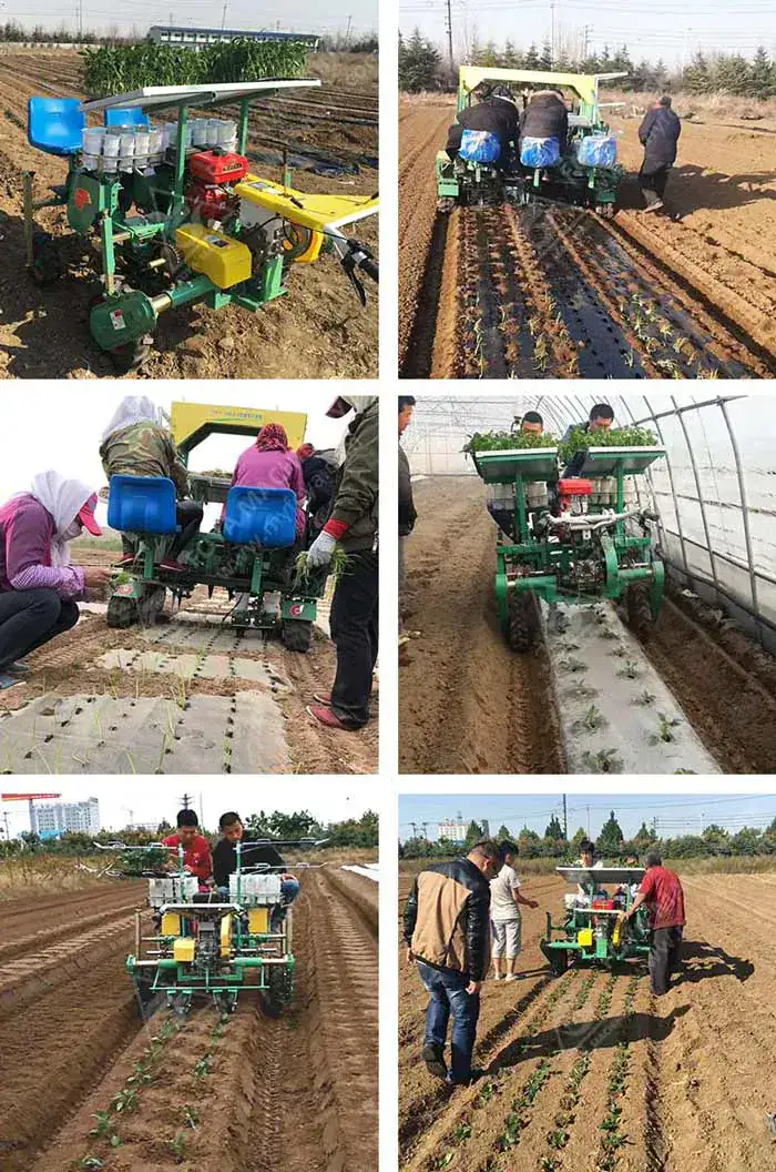 FOYA Manual vs Vegetable Transplanter labor cost comparison - machine seeding savings per hectare