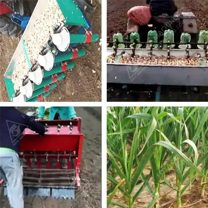 FOYA Garlic Planter Machine - View Garlic Planter Machine
