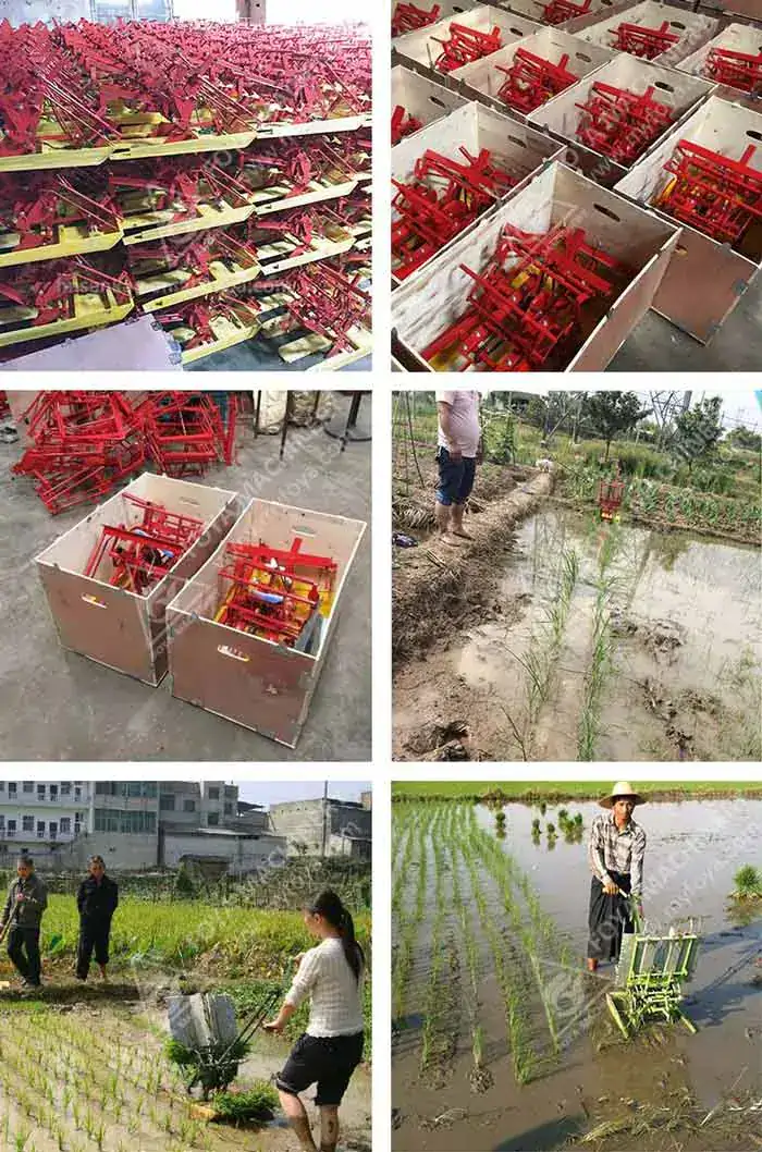 FOYA Manual Rice Transplanter - View Manual Rice Transplanter