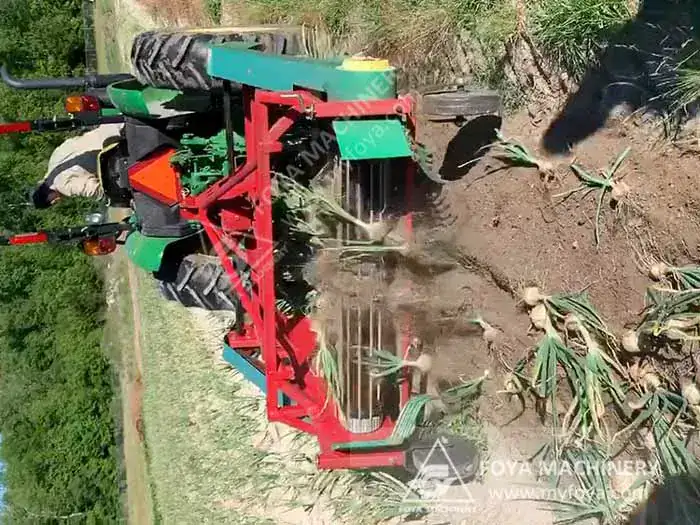 What Machines Are Needed For Garlic Farming