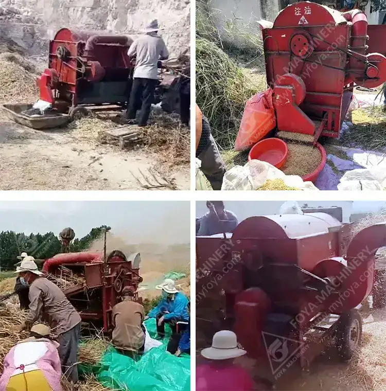FOYA Grain Thresher - View Grain Thresher
